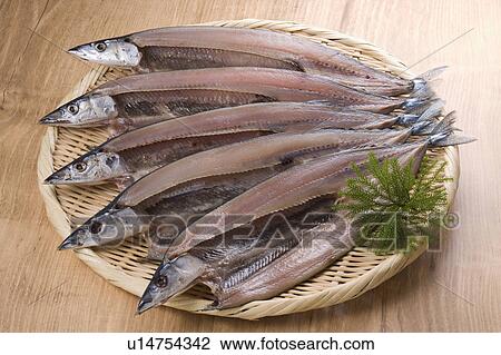 Dried saury View Large Photo Image Stock Image - Dried saury. Fotosearch