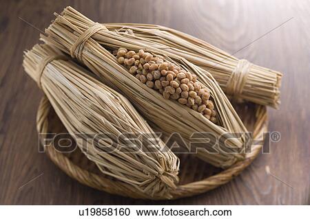 Natto View Large Photo Image Stock Image - Natto. Fotosearch