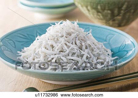 Stock Photograph - Shirasu. Fotosearch