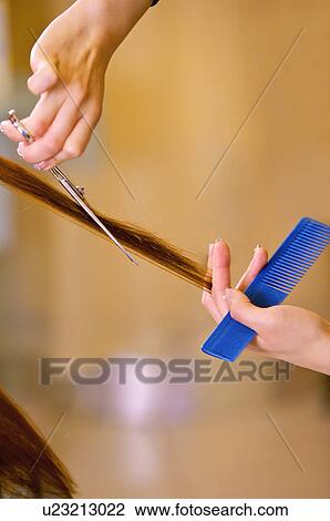 Close-up of hairdresser's hands cutting hair, Hair Salon View Large Photo Image Stock Image - Close-up of hairdresser's hands cutting hair, Hair Salon. Fotosearch