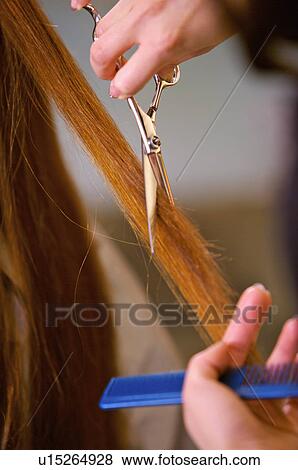 Close-up of hairdresser cutting customer's hair, Hair Salon View Large Photo Image Stock Photo - Close-up of hairdresser cutting customer's hair, Hair Salon. Fotosearch