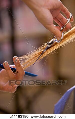 Close-up of hairdresser's hands cutting hair, Hair Salon View Large Photo Image Stock Image - Close-up of hairdresser's hands cutting hair, Hair Salon. Fotosearch