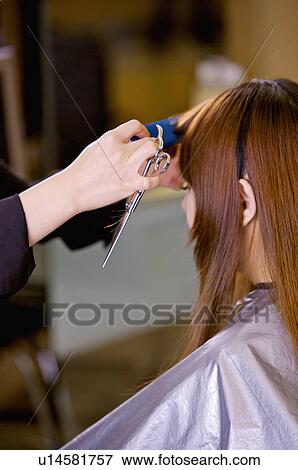 Hairdresser cutting customer's hair, Hair Salon View Large Photo Image Stock Photo - Hairdresser cutting customer's hair, Hair Salon. Fotosearch