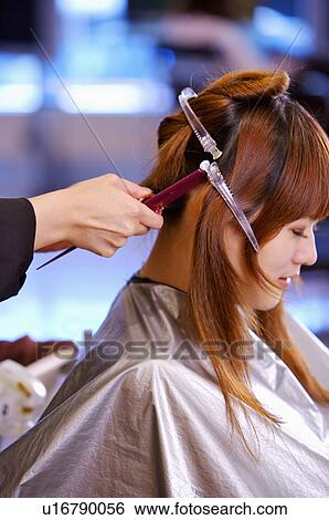Hairdresser cutting customer's hair, Hair Salon View Large Photo Image Stock Photograph - Hairdresser cutting customer's hair, Hair Salon. Fotosearch