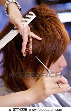 Hairdresser cutting customer's hair, Hair Salon View Large Photo Image Stock Photograph - Hairdresser cutting customer's hair, Hair Salon. Fotosearch