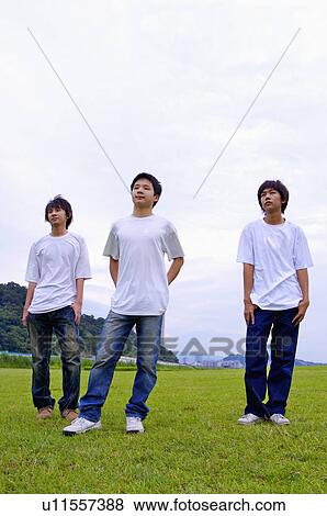 Three boys standing on the lawn and looking away, Teenager View Large Photo Image Stock Photo - Three boys standing on the lawn and looking away, Teenager. Fotosearch