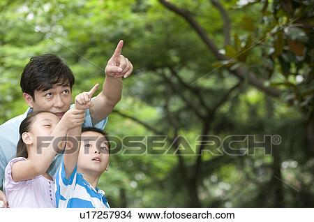 Picture - Father with two children pointing and looking up together, Family, Leisure Activities. Fotosearch
