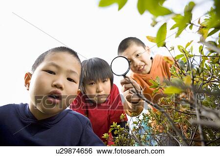 Three boys watching with magnifier View Large Photo Image Stock Photograph - Three boys watching with magnifier. Fotosearch