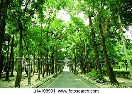 Stock Image - going, the greentunnel, the way, there are not persons, the runway. Fotosearch