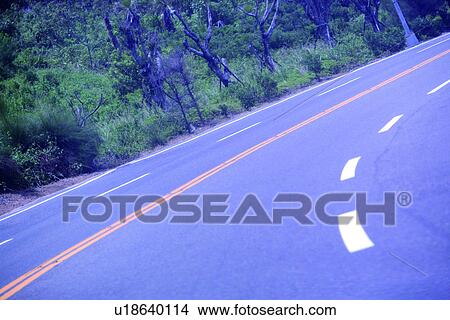 Picture - mountain, communication, the highway, the way, the trees, Road? Railway. Fotosearch