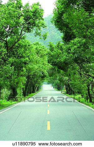 the highway, the greentunnel, the mountain range, the tunnel, running, transportation View Large Photo Image Stock Photography - the highway, the greentunnel, the mountain range, the tunnel, running, transportation. Fotosearch