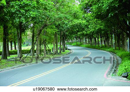 Stock Image - the trees, transport, transportation, the mountain range, Road? Railway, the greentunnel. Fotosearch