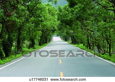 Stock Image - the way, Road? Railway, transportation, mountain, the greentunnel. Fotosearch
