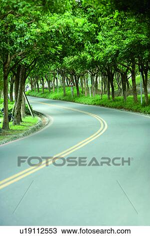 Stock Image - the way, the trees, the greentunnel, mountains, transportation, the tunnel, the mountain range. Fotosearch
