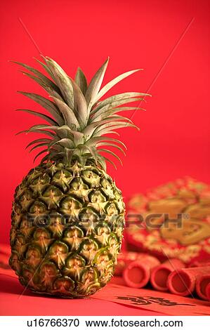 Close-Up, Indoors, Food and Drink View Large Photo Image Stock Image - Close-Up, Indoors, Food and Drink. Fotosearch