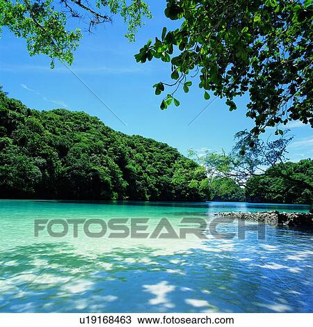 Stock Image - Ocean, Blue sky, Beaches, Seas, Oceans, Trees, Summer Splash. Fotosearch