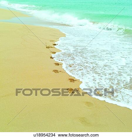 Sea, Beach, Oceans, Wave, Ocean, Splashes, Seas View Large Photo Image Picture - Sea, Beach, Oceans, Wave, Ocean, Splashes, Seas. Fotosearch
