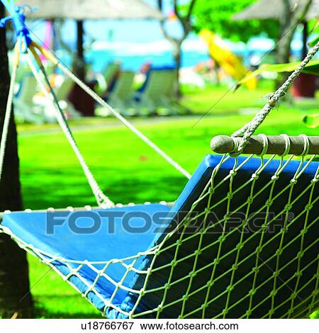 Water, Ocean, Couches, Trees, Green grass, Hammocks, Oceans View Large Photo Image Stock Photo - Water, Ocean, Couches, Trees, Green grass, Hammocks, Oceans. Fotosearch