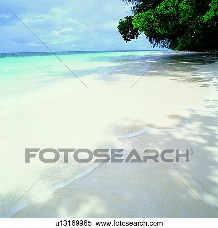 Wave, Beaches, Summer Splash, Trees, Seas, Tree, Splashes View Large Photo Image Stock Photography - Wave, Beaches, Summer Splash, Trees, Seas, Tree, Splashes. Fotosearch
