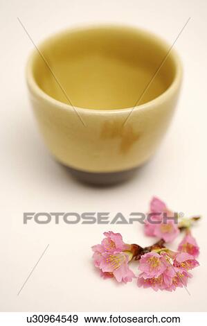 Stock Photo - Japanese teacup and sakura blossom. Fotosearch