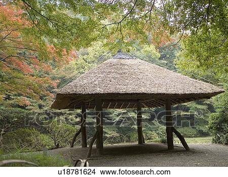 Picture - Pavilion (gazebo) in woods. Fotosearch