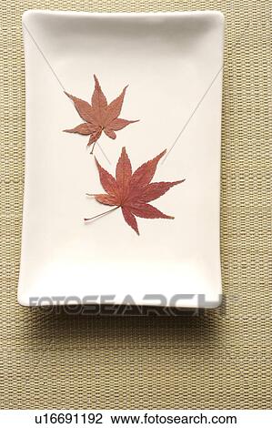 Still life with white plate and maple leaf View Large Photo Image Stock Image - Still life with white plate and maple leaf. Fotosearch
