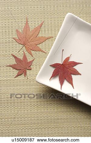 Stock Photo - Still life with white plate and maple leaf. Fotosearch