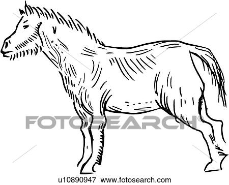 Clip Art - decorative, art, deco, decoration, antique, design, accent. Fotosearch