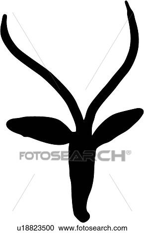 Clipart - decorative, art, deco, decoration, antique, design, accent. Fotosearch