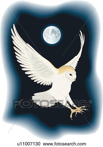 Barn Owl Clipart U11007130