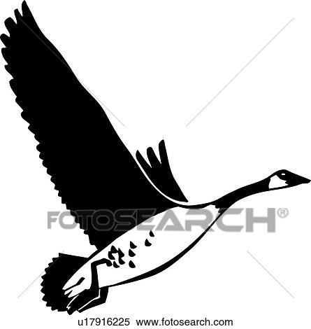 canada goose logo a droite canada goose logo a droite