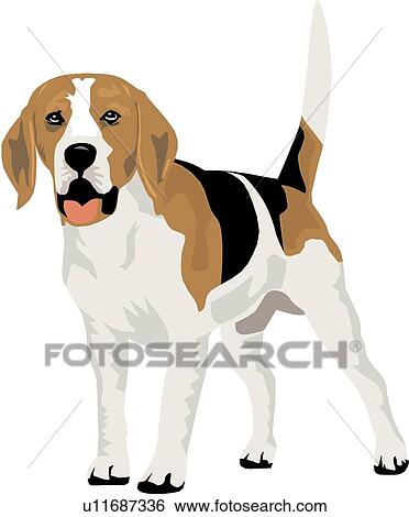 ビーグル犬 クリップアート U Fotosearch