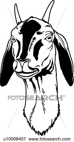 Goat Face Clip Art | u10008457 | Fotosearch