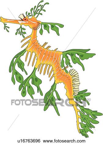 Leafy Sea Dragon Clip Art U16763696 Fotosearch