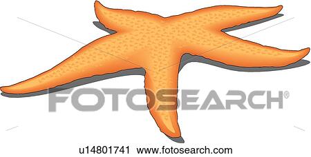 Starfish Clipart U14801741 Fotosearch