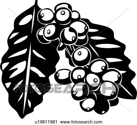 コーヒー豆 クリップアート 切り張り イラスト 絵画 集 U Fotosearch