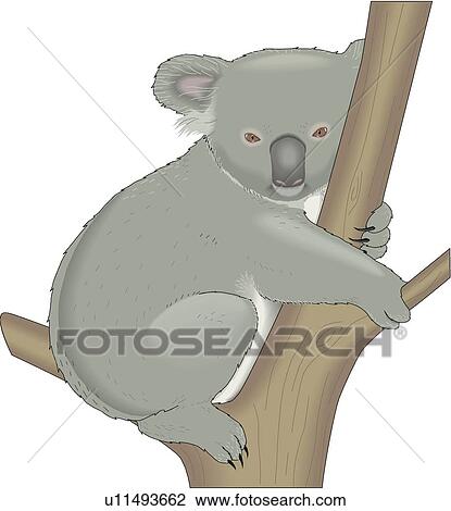 コアラ クリップアート 切り張り イラスト 絵画 集 U Fotosearch