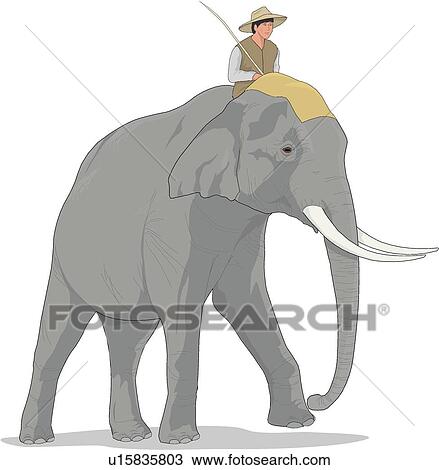 動物画像無料 元の象 イラスト かっこいい