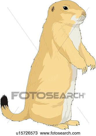 Prairie Dog Clipart | u15726573 | Fotosearch