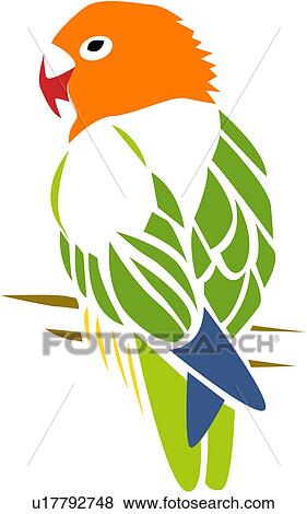 Animal Clipart Oiseau Clipart Perroquet Vert En Or