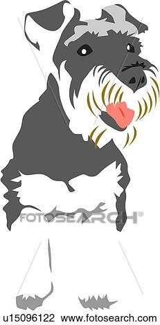 Clipart of puppy, mammal, dog, pet dog, pet, schnauzer, animal ...