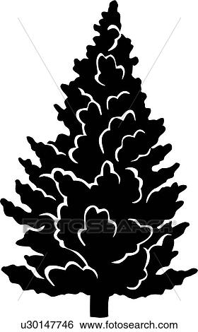 , spruce, tree, varieties, Clip Art u30147746