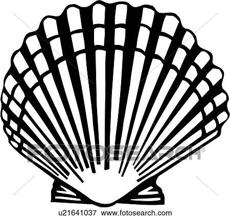 Clip Art of , ocean, scallop, shell, varieties, u21641037 - Search ...