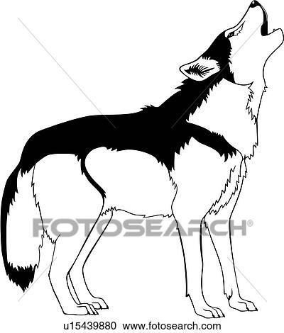Clipart of , animal, coyote, howl, southwest, wild, wolf, u15439880 ...