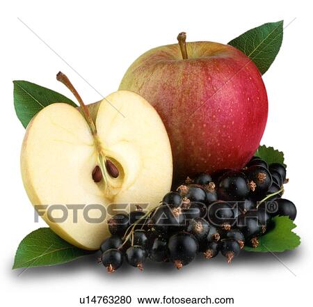 Stock Image - apples and blackcurrants. Fotosearch
