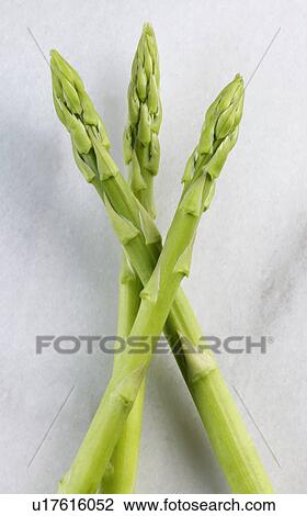 Asparagus View Large Photo Image Stock Image - Asparagus. Fotosearch
