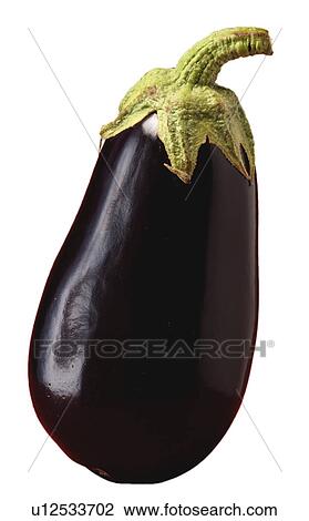 Aubergine on White - Non Exclusive View Large Photo Image Stock Image - Aubergine on White - Non Exclusive. Fotosearch