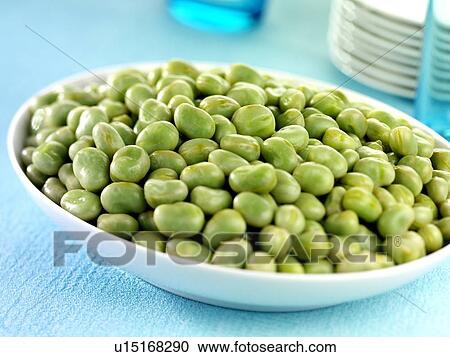 Baby Broad Beans View Large Photo Image Stock Image - Baby Broad Beans. Fotosearch