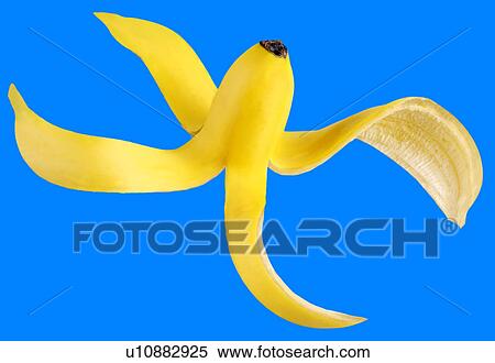 Banana Skin on Blue - Non Exclusive View Large Photo Image Stock Photography - Banana Skin on Blue - Non Exclusive. Fotosearch