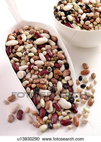 Stock Image - Bean Mix in Scoop - Non Exclusive. Fotosearch